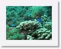 02-UnionIsland - 25